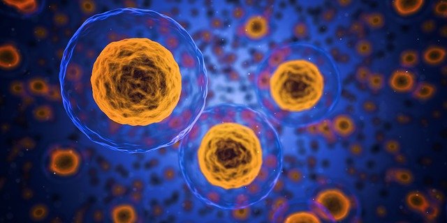 Pierre Tricot : l’ostéopathie tissulaire, au service de l’intelligence du corps