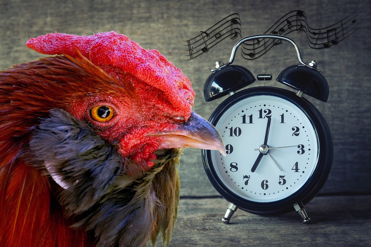 ⏰The Unusual Art of Waking Up Early: 5 Tips to Tame the Morning Alarm Clock with Style!
